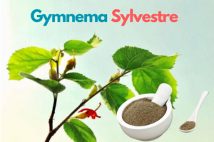 Read more about the article Gymnema Sylvestre: The Ayurvedic Herb for Diabetes and More!