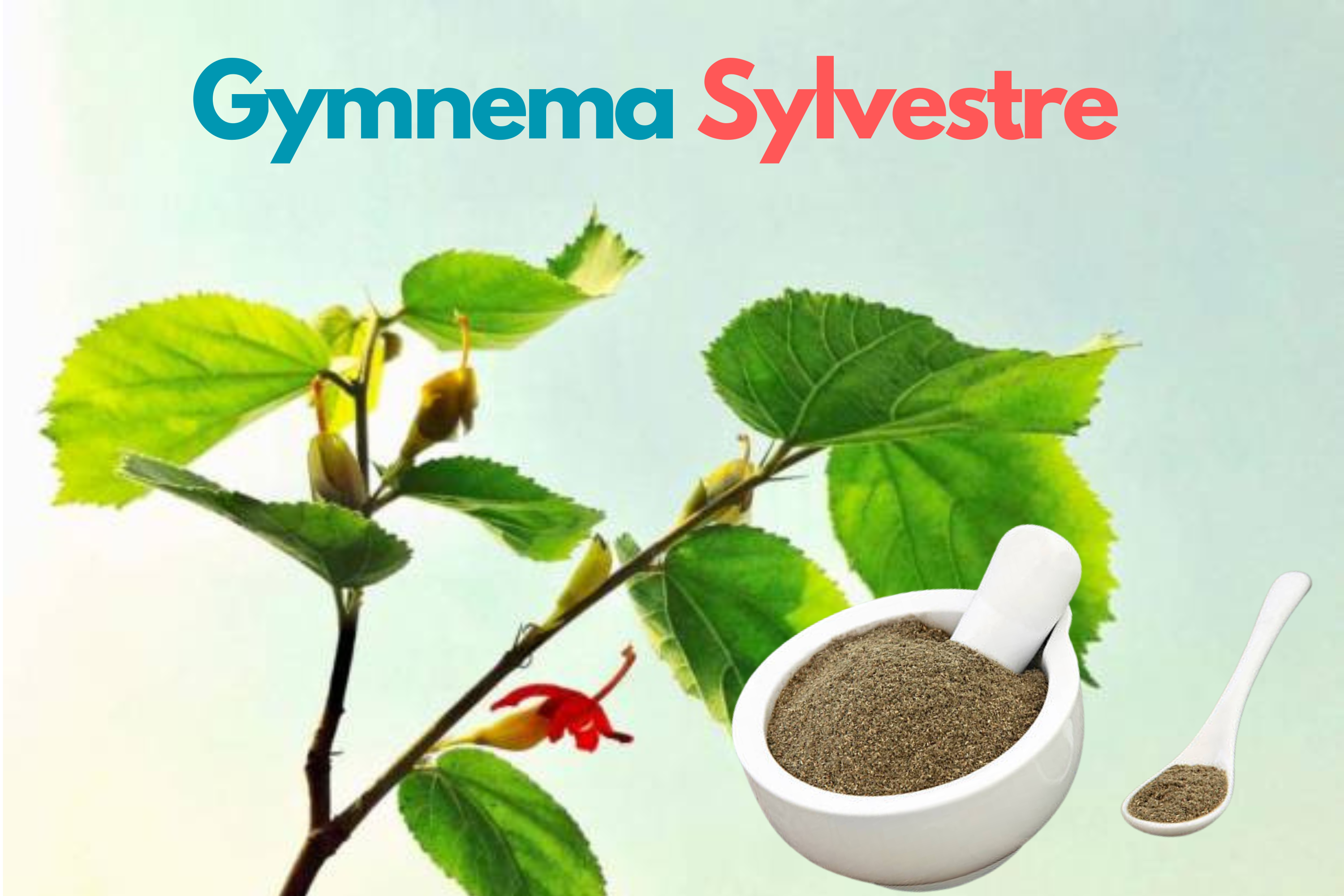 You are currently viewing Gymnema Sylvestre: The Ayurvedic Herb for Diabetes and More!