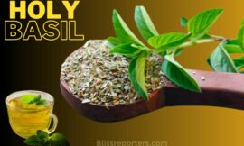 Unlock the Secrets of Holy Basil: The Queen of Herbs