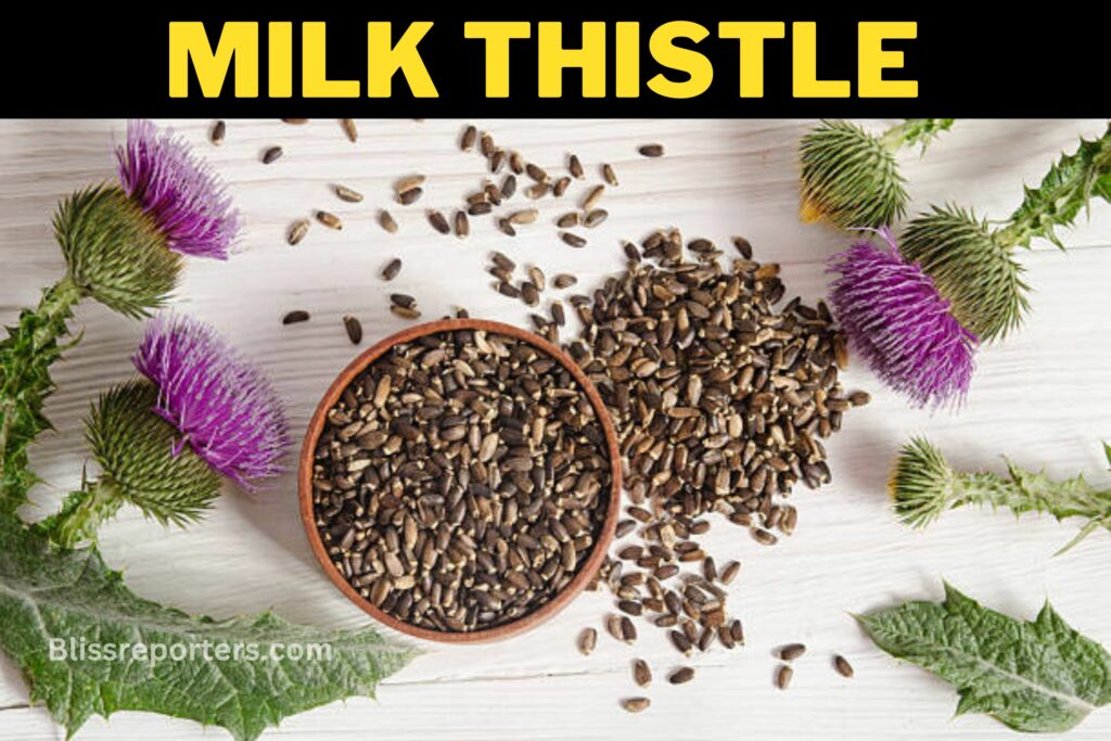 The Benefits of Milk Thistle: A Natural Remedy for Liver and Gallbladder Health