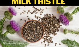 The Benefits of Milk Thistle: A Natural Remedy for Liver and Gallbladder Health