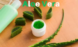Transform your health with the miraculous properties of Aloe Vera.
