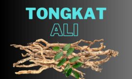 Tongkat Ali: A Natural Testosterone Booster