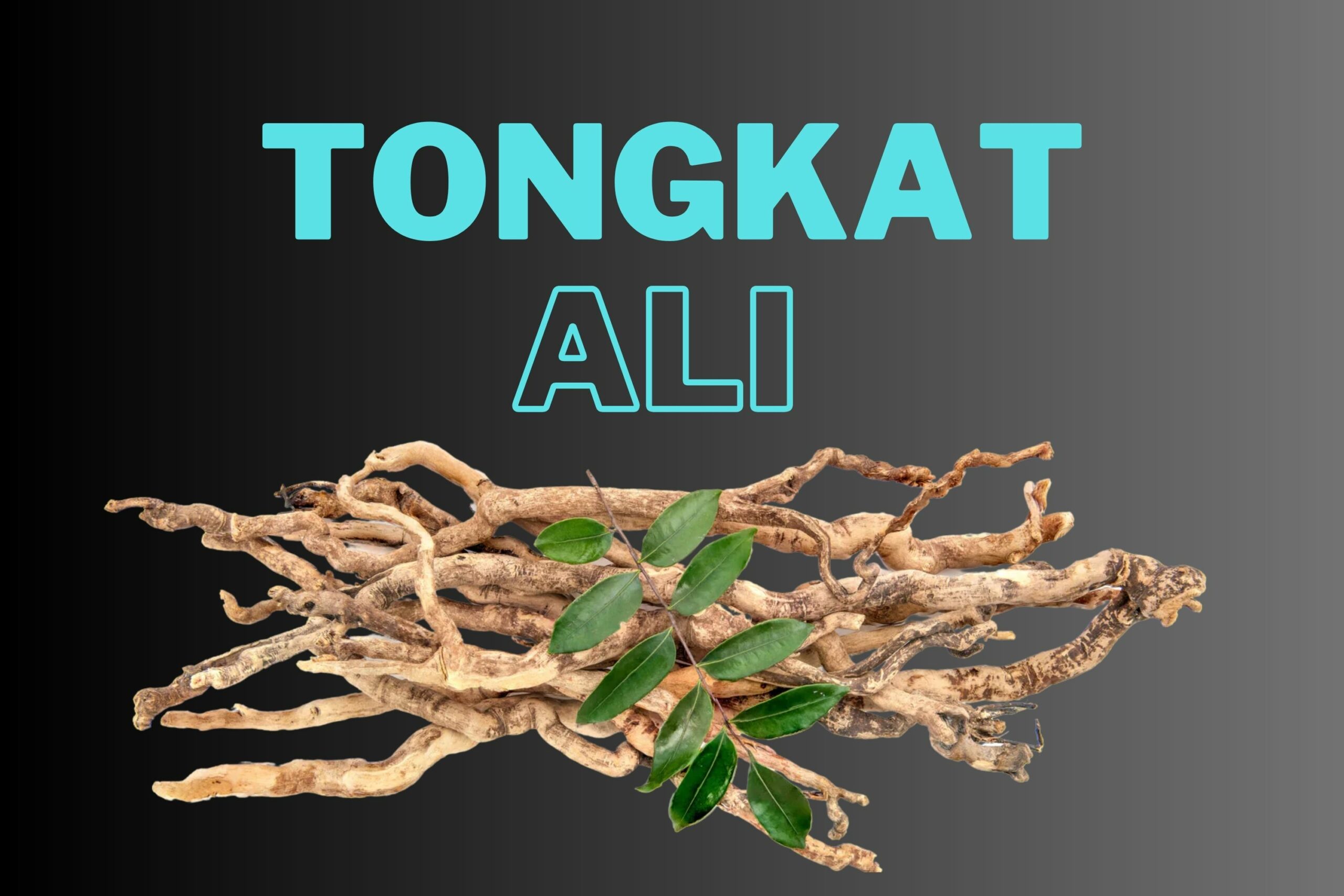 Read more about the article Tongkat Ali: A Natural Testosterone Booster