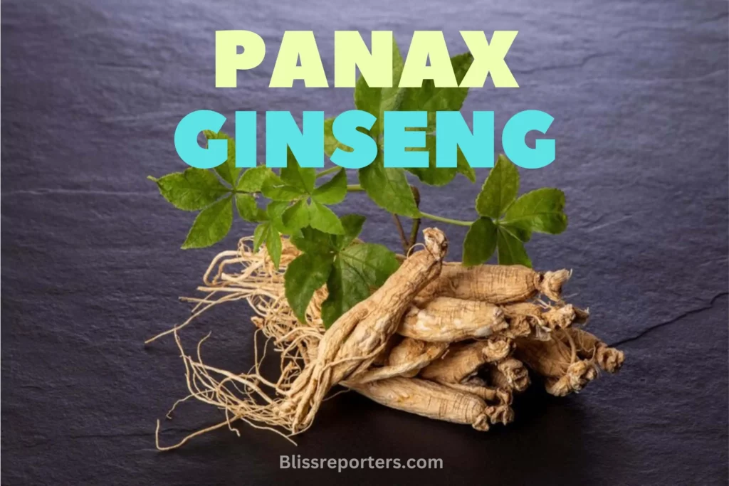 Supercharge your health with the power of ‘Panax Ginseng’ and feel unstoppable